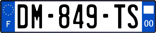 DM-849-TS