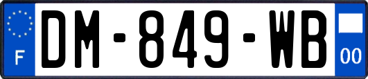 DM-849-WB