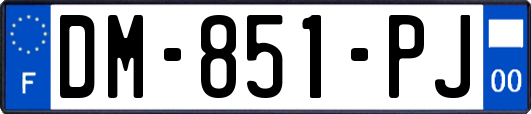 DM-851-PJ