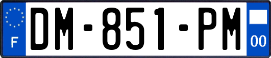 DM-851-PM