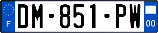 DM-851-PW