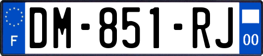 DM-851-RJ