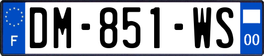 DM-851-WS