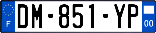 DM-851-YP