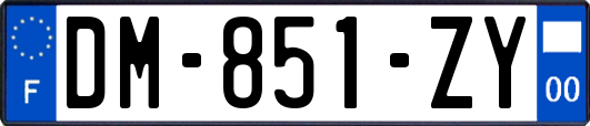 DM-851-ZY