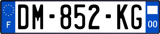 DM-852-KG
