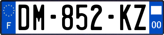 DM-852-KZ