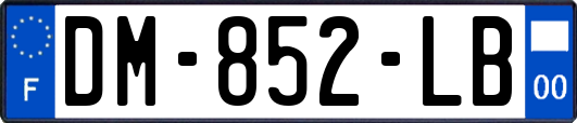 DM-852-LB