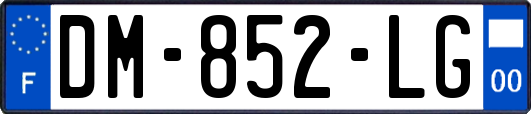 DM-852-LG