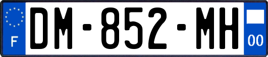 DM-852-MH