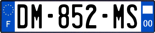 DM-852-MS