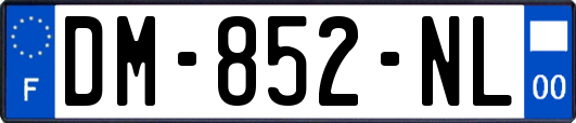 DM-852-NL