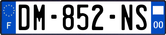 DM-852-NS