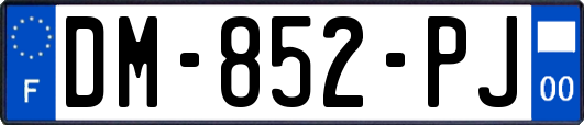 DM-852-PJ