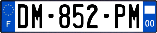 DM-852-PM