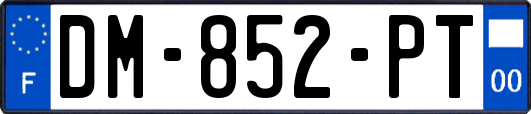 DM-852-PT