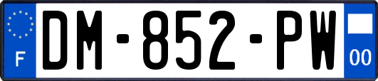 DM-852-PW