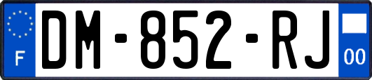 DM-852-RJ