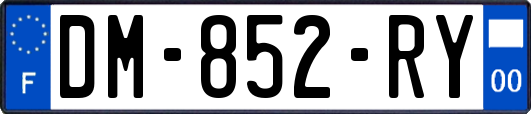 DM-852-RY