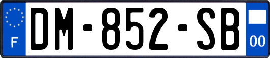 DM-852-SB