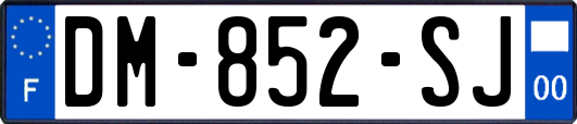 DM-852-SJ