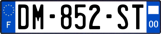 DM-852-ST