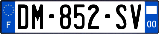 DM-852-SV