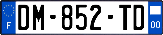 DM-852-TD