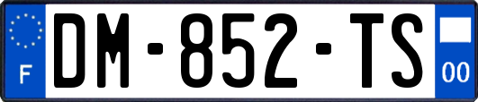 DM-852-TS