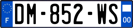 DM-852-WS