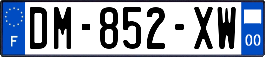 DM-852-XW