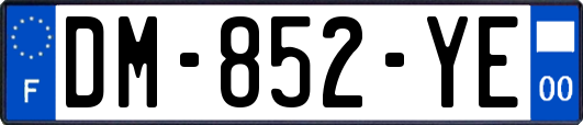 DM-852-YE