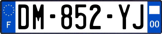 DM-852-YJ