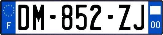 DM-852-ZJ