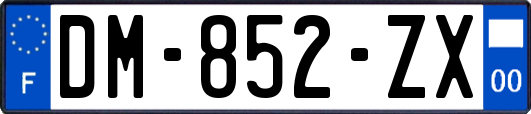 DM-852-ZX