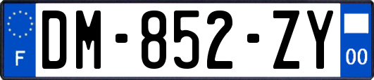 DM-852-ZY