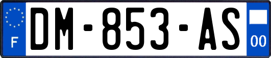 DM-853-AS