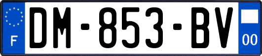 DM-853-BV