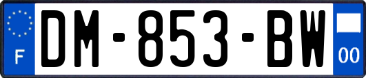 DM-853-BW