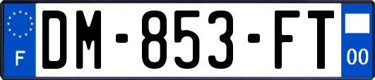 DM-853-FT