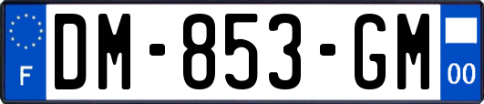 DM-853-GM