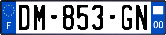 DM-853-GN