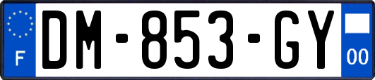 DM-853-GY