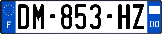 DM-853-HZ