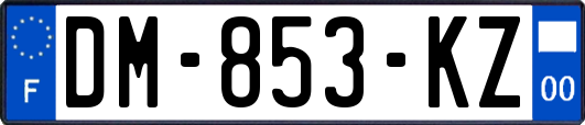 DM-853-KZ