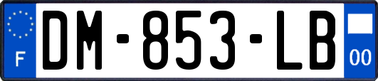 DM-853-LB