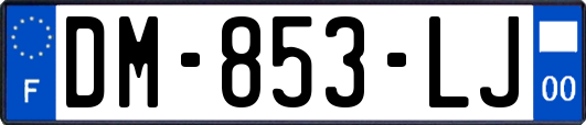 DM-853-LJ