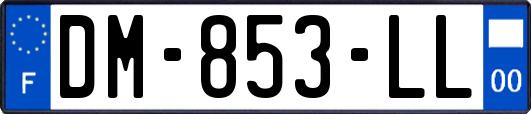 DM-853-LL