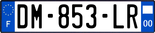 DM-853-LR