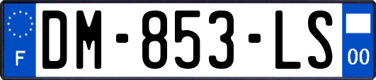 DM-853-LS